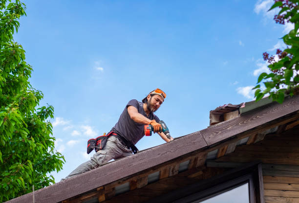 Best 4 Ply Roofing  in Pea Ridge, AR